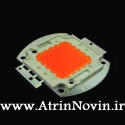 LED ویژه رشد گیاه