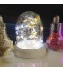 تنگ شیشه ای LED