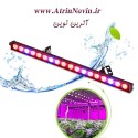 وال واشر رشد گیاه
