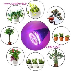 لامپ رشد گیاه پایه دار