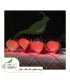 خرید ریسه بلوطی قرمز ارزان