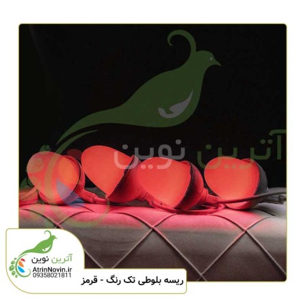خرید ریسه بلوطی قرمز ارزان