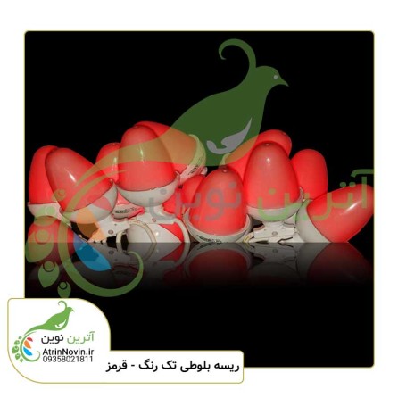 فروش ریسه بلوطی قرمز فوری