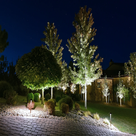 چراغ زیردرختی