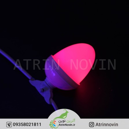 ریسه بلوطی فول کالر با بهترین کیفیت  قیمت استثنایی و گارانتی