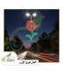 قیمت و خرید المان نوری گل رز | المان نوری گل رز آترین نوین