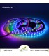 Led نواری برنامه پذیرWS2811 تراکم 60 آی پی67 با افکتهای خلاقانه