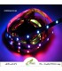 ریسه نواری دیجیتالWS2811 تراکم 30 آی پی20