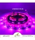 ریسه نواری دیجیتال WS2812B تراکم 30 آی پی 20 (2812/30Led/ip20/5V)