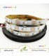 ریسه نواری دیجیتال WS2812B تراکم 30 آی پی 20 -WS2812-2812