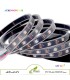 ریسه RGB ضدآب WS2812B تراکم 30 IP67
