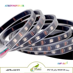 ریسه RGB ضدآب WS2812B تراکم 30 IP67