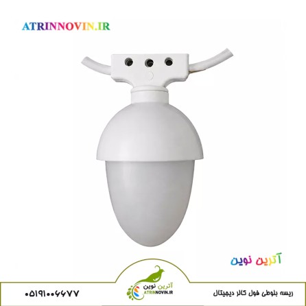ریسه بلوطی 10 متری 15 شعله برای نورپردازی شهری