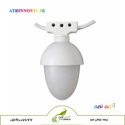 ریسه بلوطی سبز
