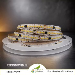 حلقه ریسه نواری آفتابی و سفید