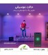 هالوژن RGB ده وات اتصال به کنترلر RGB موزیکال