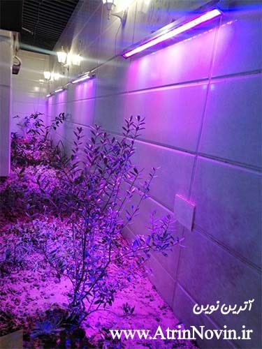 بهترین وال واشر مخصوص رشد گیاه با گارانتی ویژه